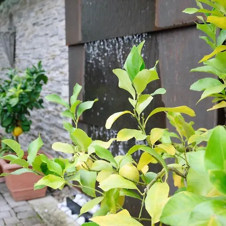 Steiert Apartment Freiburg im Breisgau