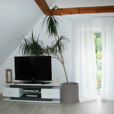 Apartment Steiert Freiburg im Breisgau