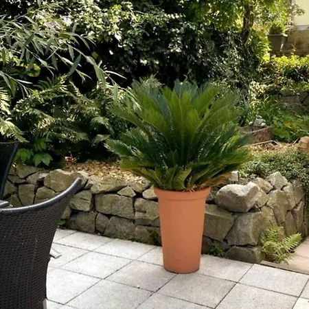 Steiert Freiburg im Breisgau