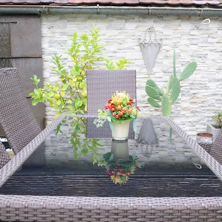 Steiert Apartment Freiburg im Breisgau