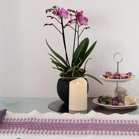 Steiert Apartment Freiburg im Breisgau