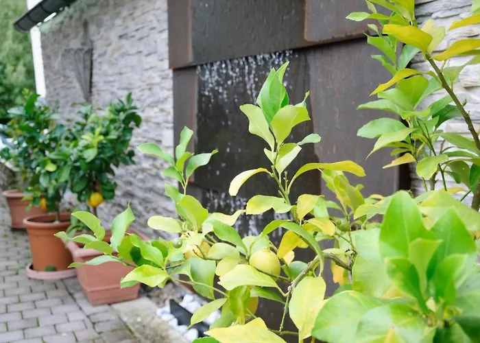 Steiert Appartamento Friburgo in Brisgovia