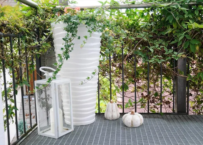 Steiert Фрайбург