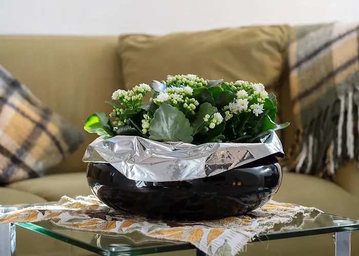 Апартаменты Steiert